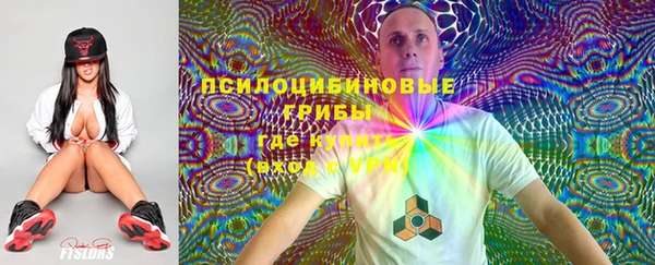мяу мяу мука Богданович