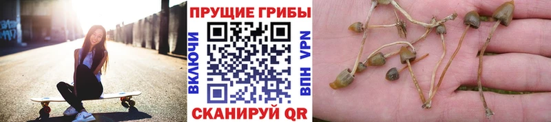 где купить наркотик  Игра  Галлюциногенные грибы прущие грибы 