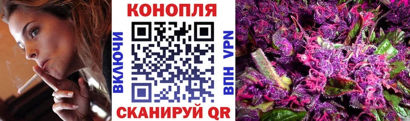 Бошки Шишки OG Kush  купить наркоту  Игра 